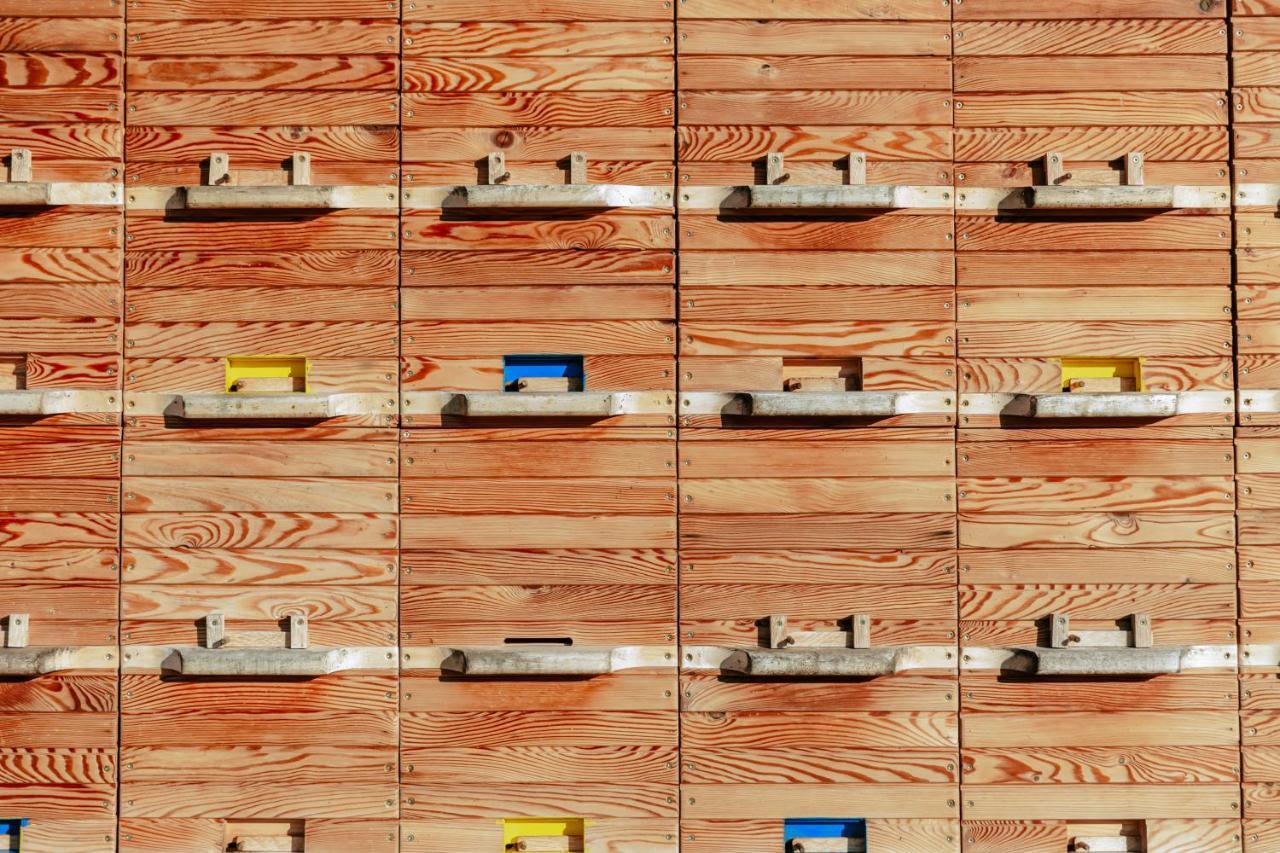 Apartments Cenda Zelezniki Eksteriør billede